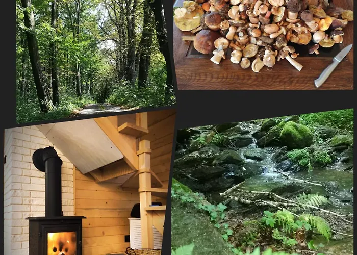 Сasa de vacaciones Nad Jeziorem *